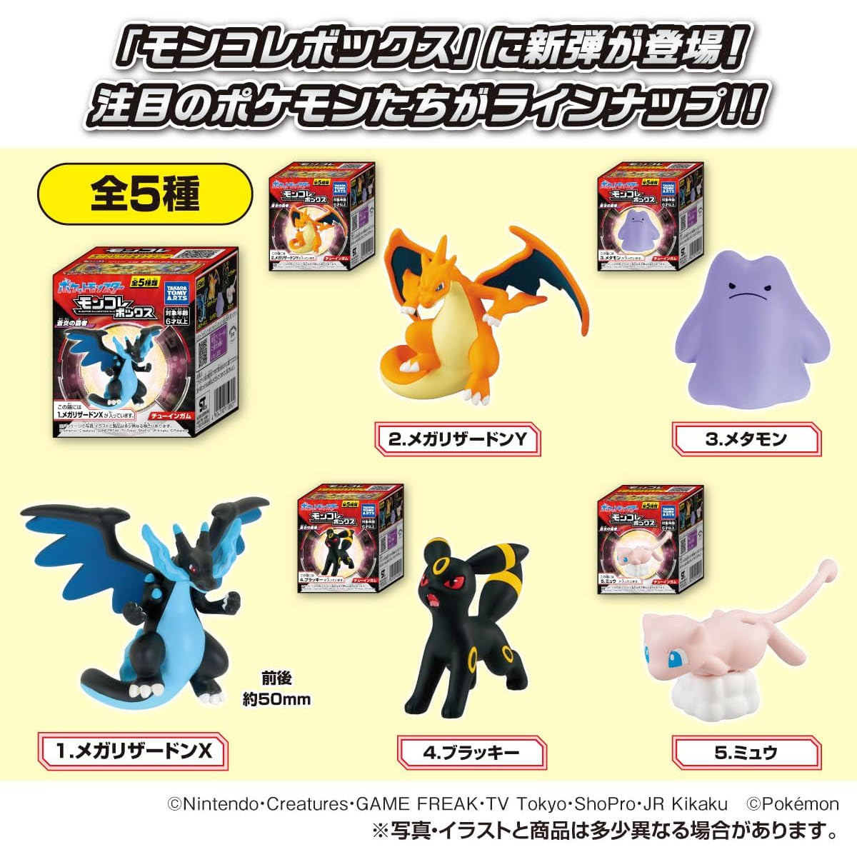 ブラッキー　リリーエ　メガリザードン　メガルカリオ　ミュウツー　SAR　MUR メガリザードンXex MA（223/193） [M2a] MEGAドリームex – アニメノ