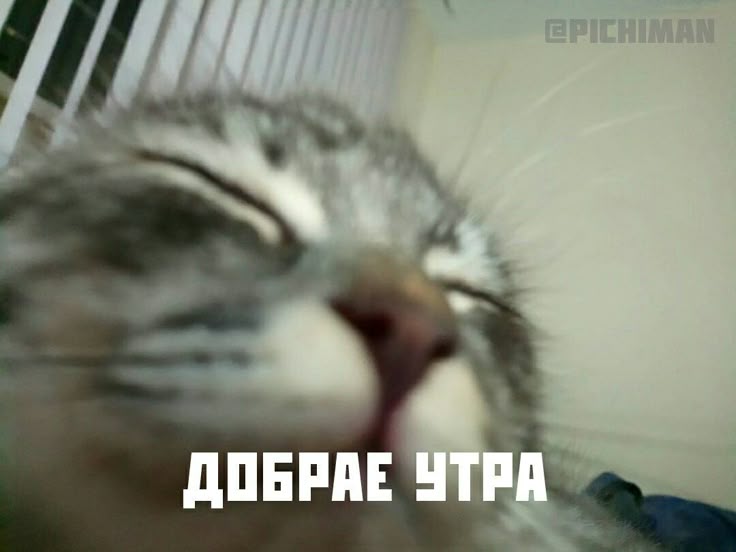 БПВЛНПГ tweet media