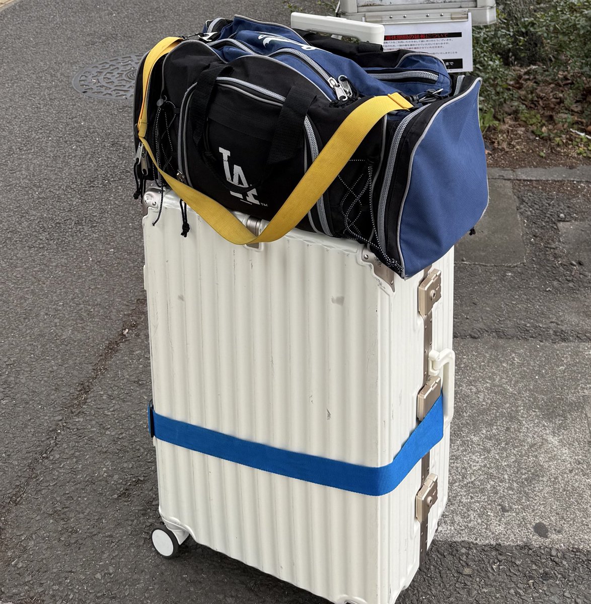 榎本晋作/未来学でイギリス大学院奮闘中🌏 tweet media