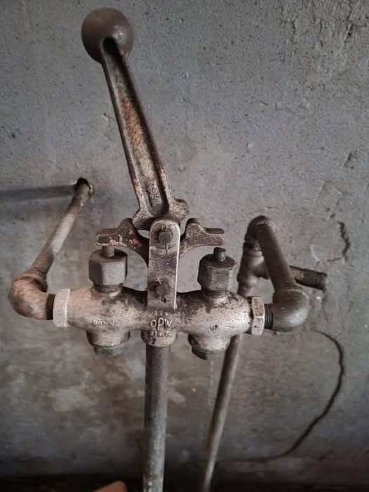 Connie 🇺🇸 tweet media