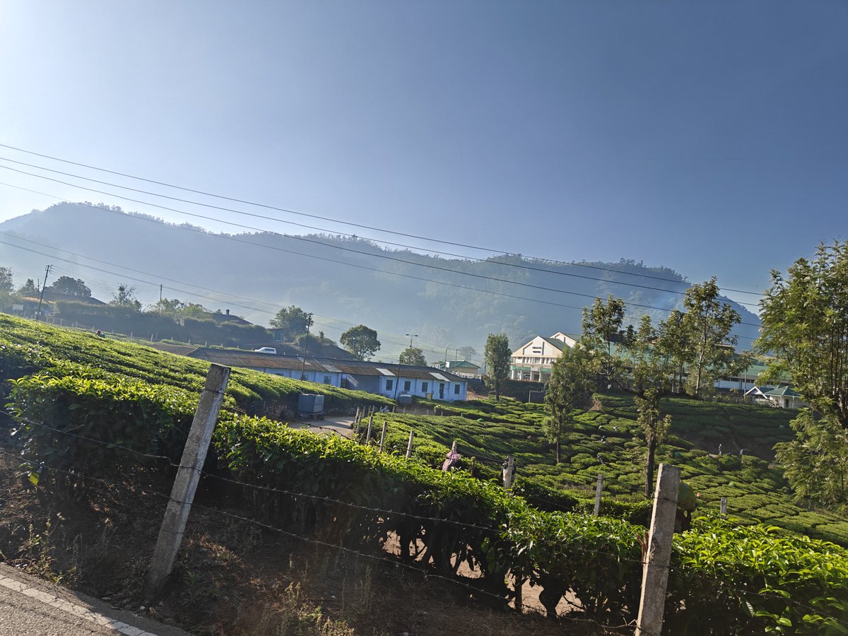 pradverse's tweet photo. Munnar 📍is love 💗🌿 https://t.co/ADkgEccEuK
