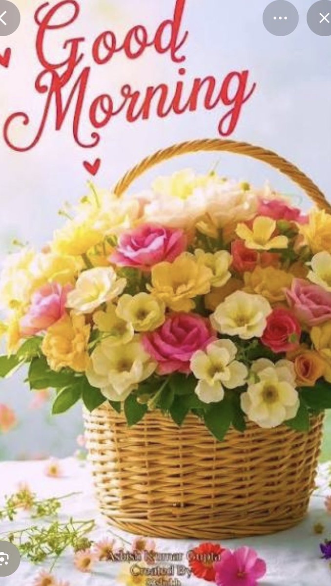 𝑴𝑺𝑻🌷𝑷𝑨𝑻𝑻𝑼💚🫶 tweet media