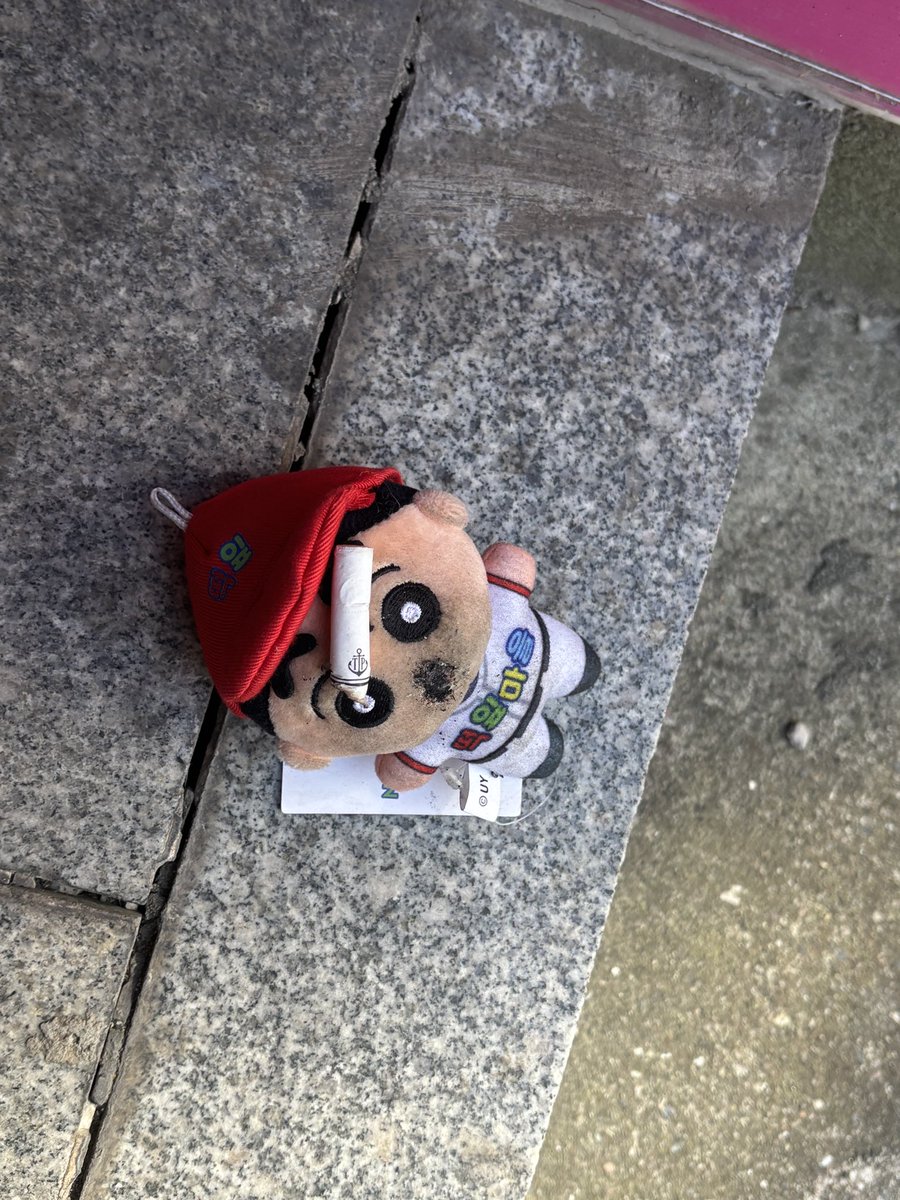 담뽀하자 tweet media