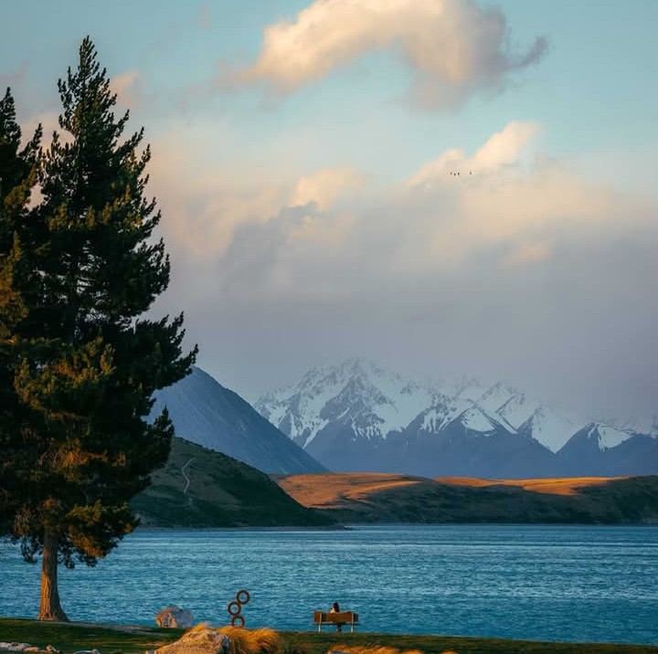 تم سے سودا ہوا تھا لمحوں کا 
تم نے صدیاں اداس کر ڈالیں
محسن نقوی 
#اردو_زبان