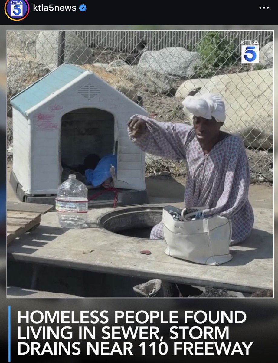 Spencer Pratt tweet media