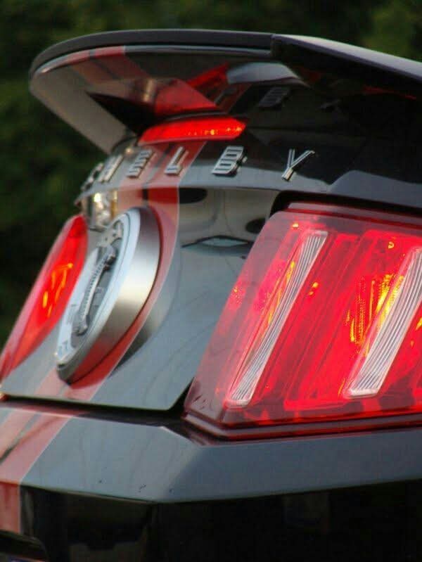 Willy Coyote 5.0 tweet media