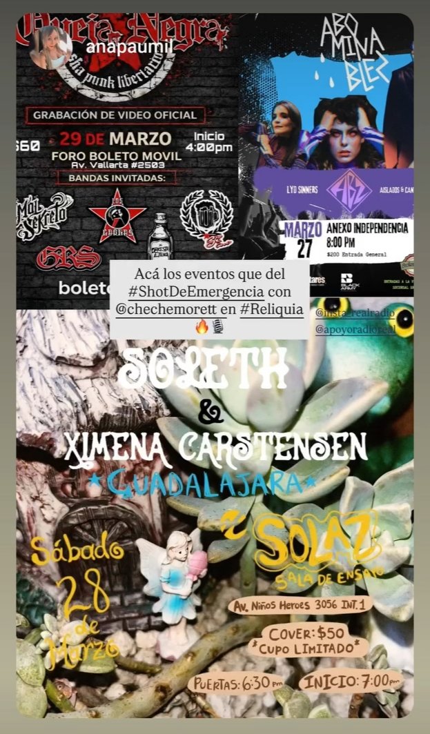 RADIO REAL tweet media