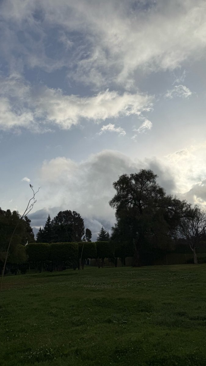 Rayan Asiri tweet media