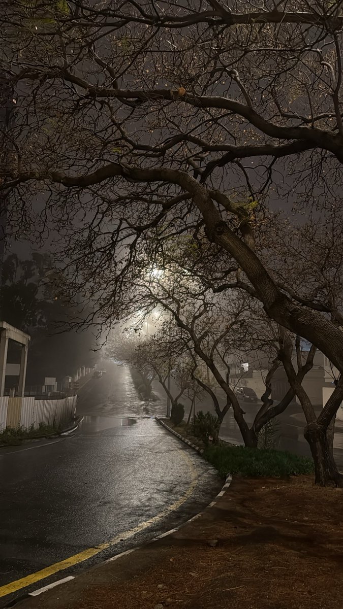 Rayan Asiri tweet media