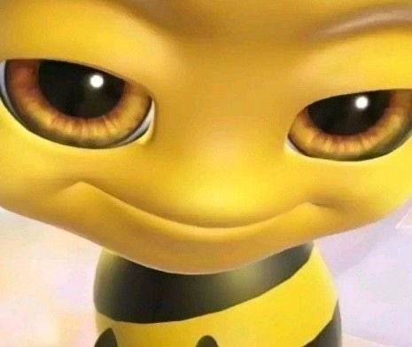 𝓛𝓮𝓮. tweet media