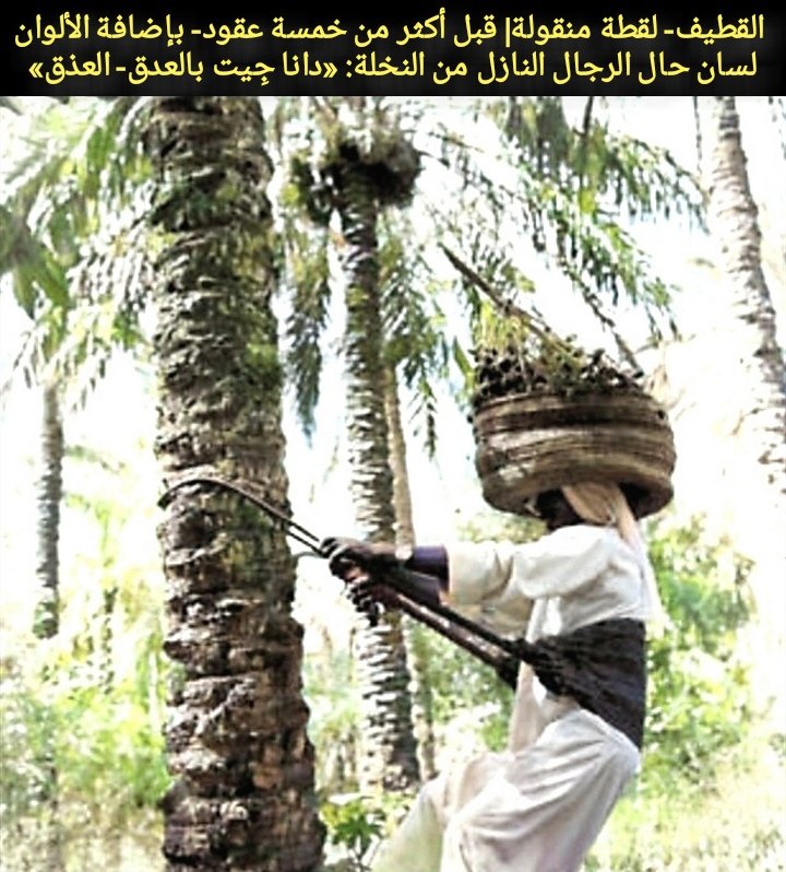 زكي العوامي- Zaki Alawami tweet media