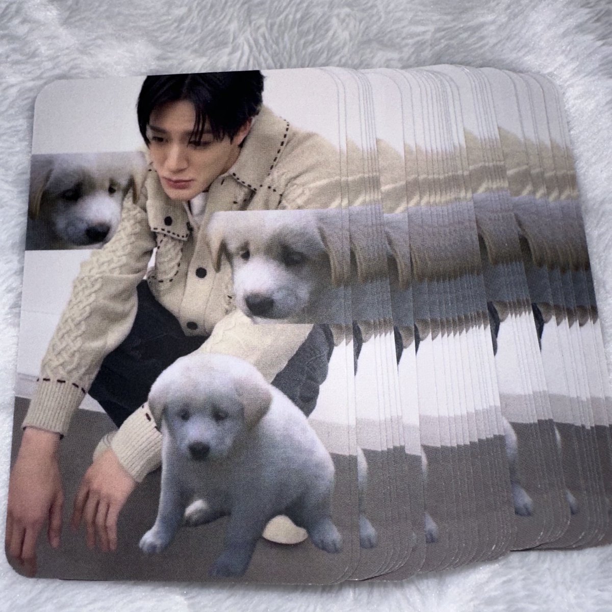 미니⁶⁵ tweet media