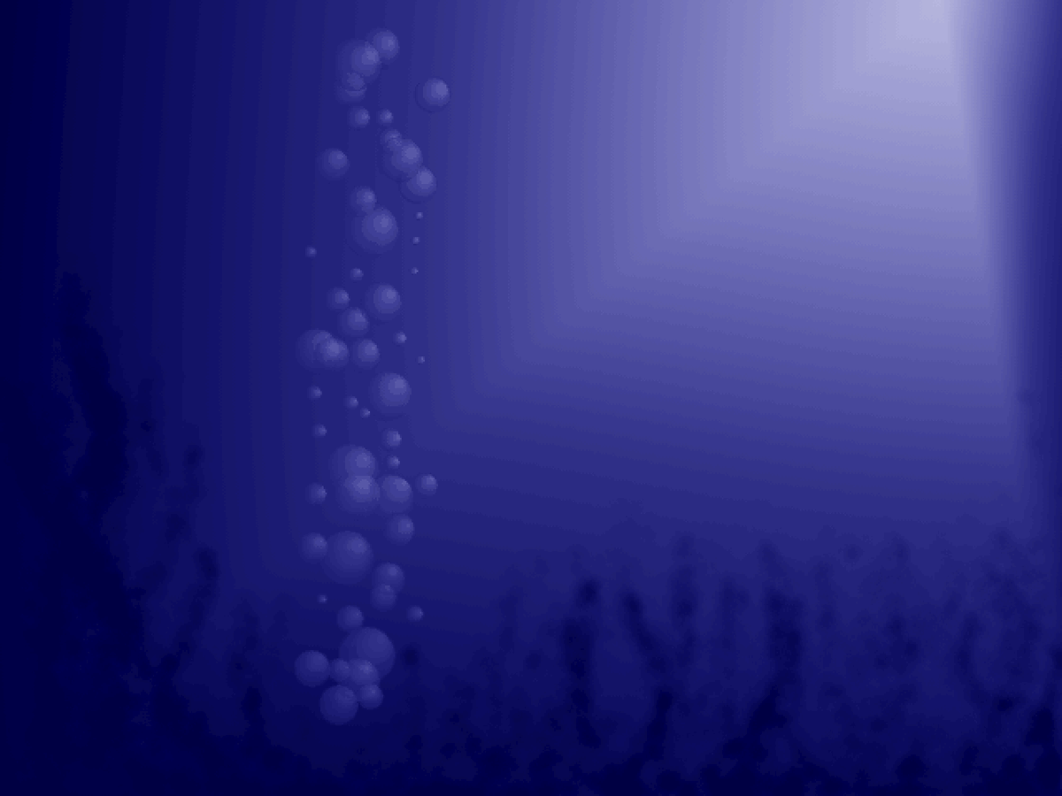 GIFS GALORE tweet media