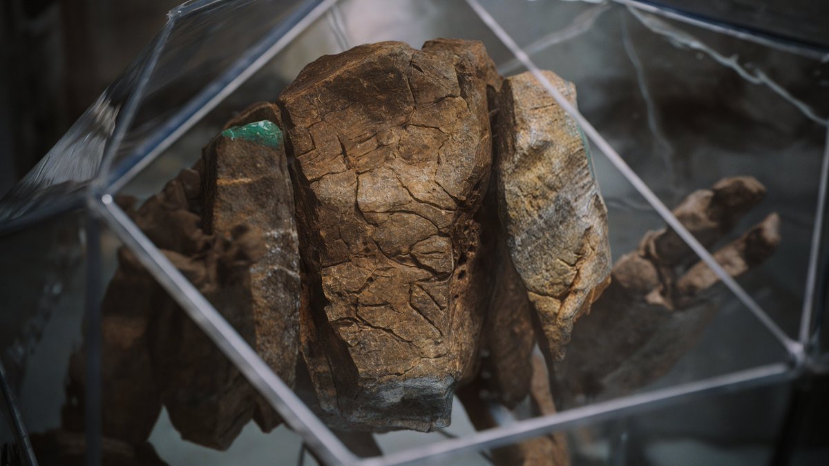 Vincent Nguyen, PC/PSN gamer: Roebuck101 tweet media