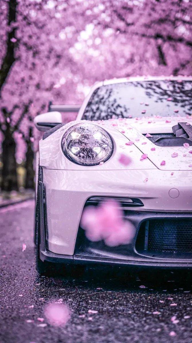 🍁🔥𝑺𝒉𝒂𝒅𝒐𝑾🔥🇵🇪 tweet media