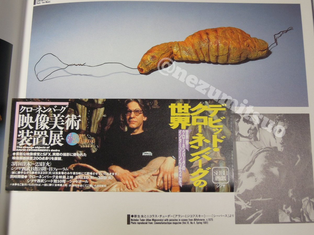 ネズミツオ tweet media