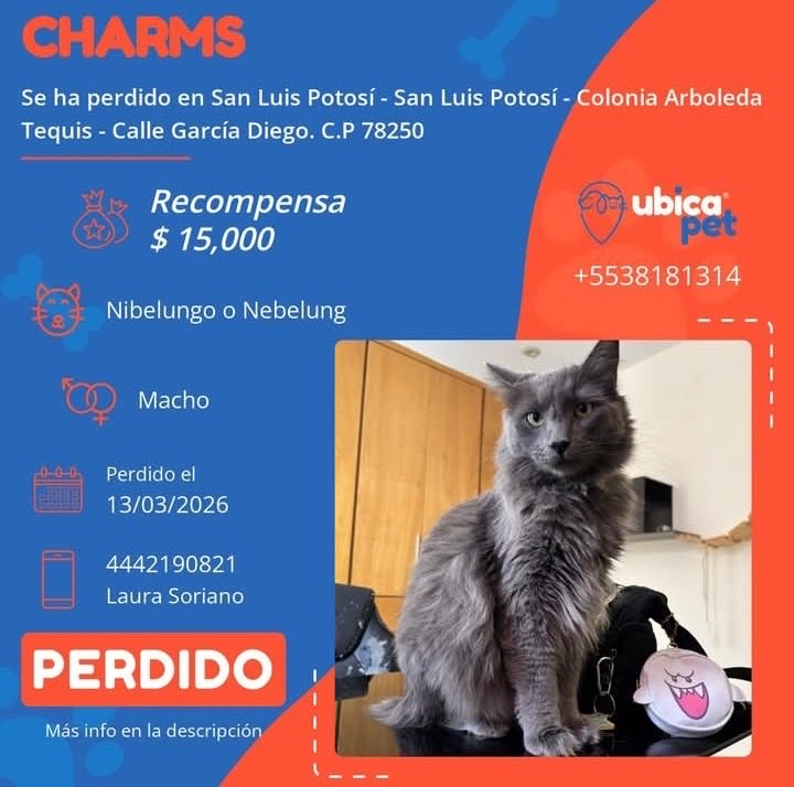 UBICAPET MÉXICO tweet media