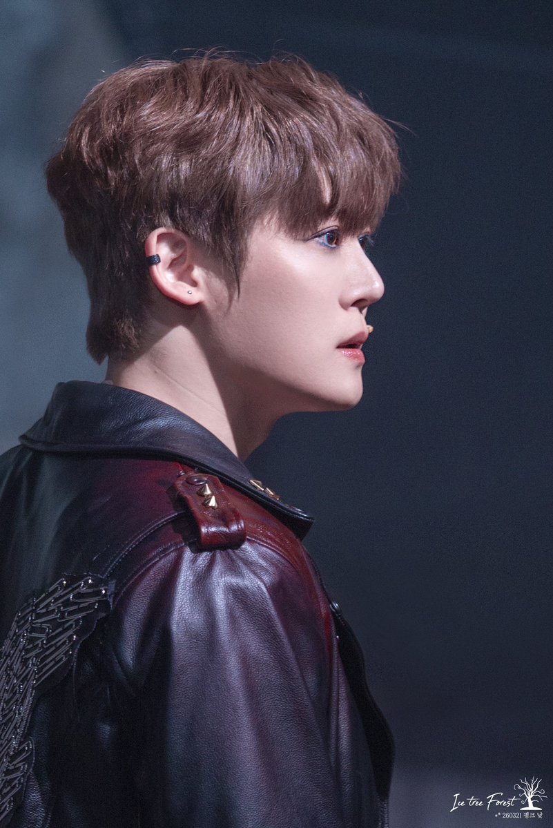 🌲❄Ice Tree Forest❄🌲 tweet media