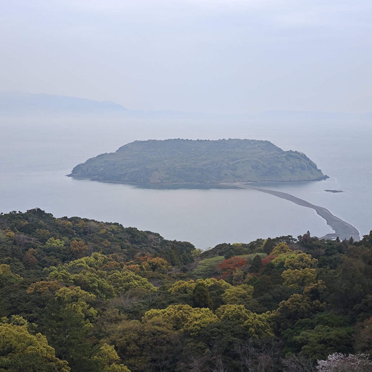 oluzE_'s tweet photo. 鹿児島 https://t.co/8NgAgr3r12