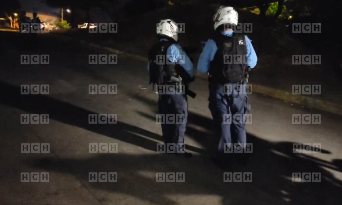 HCH Televisión Digital tweet media