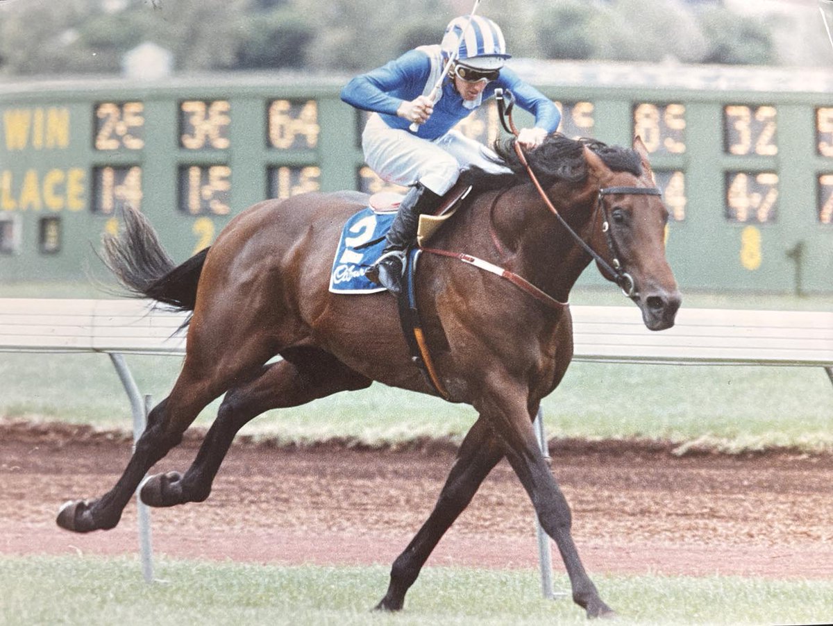 Tony Kneebone tweet media