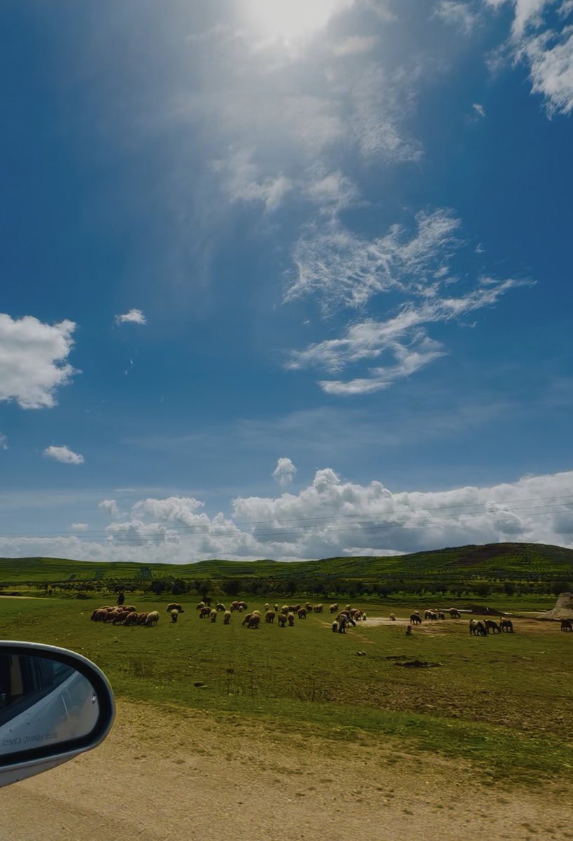 طـارـق tweet media