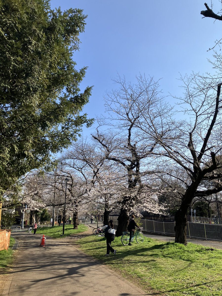 成松海悠 Miyu Narimatsu tweet media