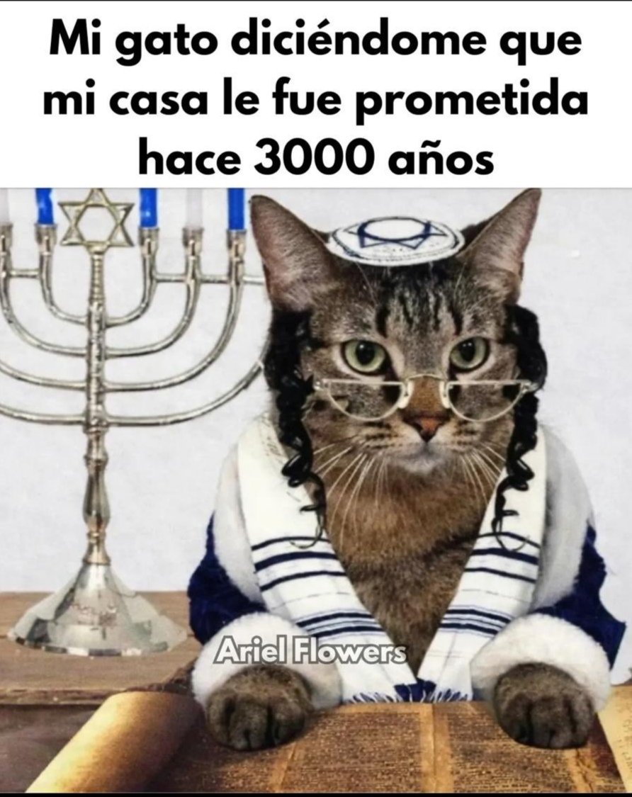 💢El Alucin v: tweet media