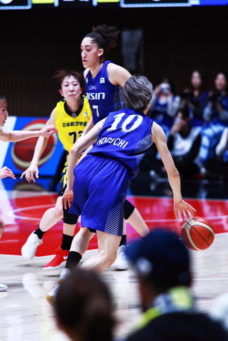 一匹猫 📸 tweet media