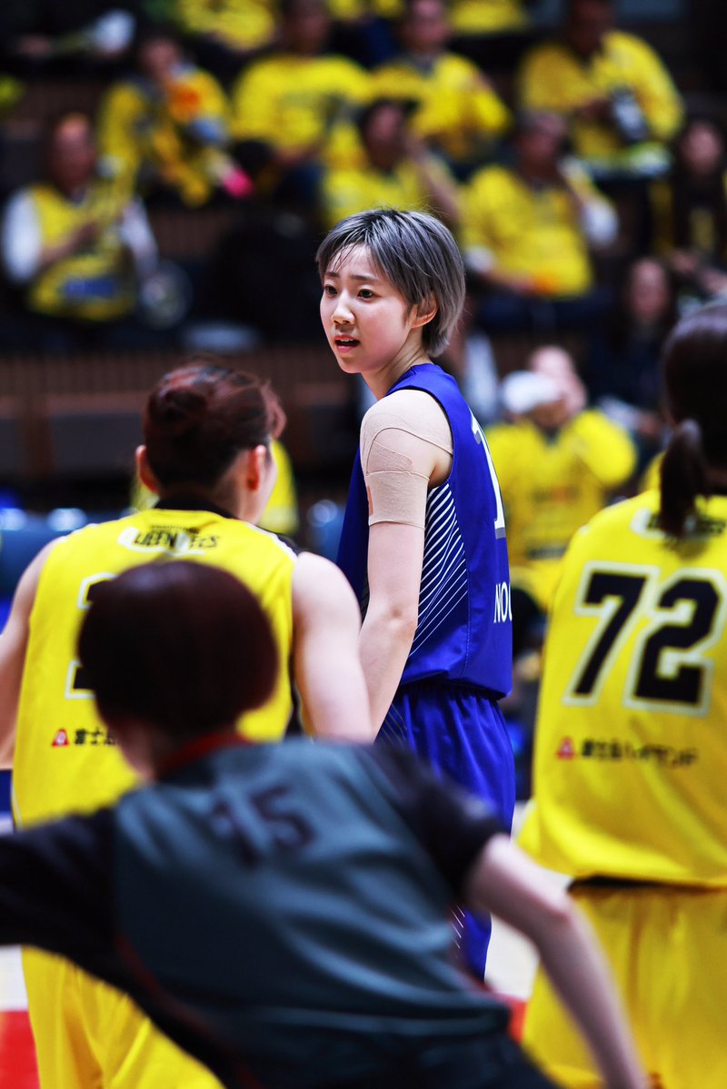 一匹猫 📸 tweet media