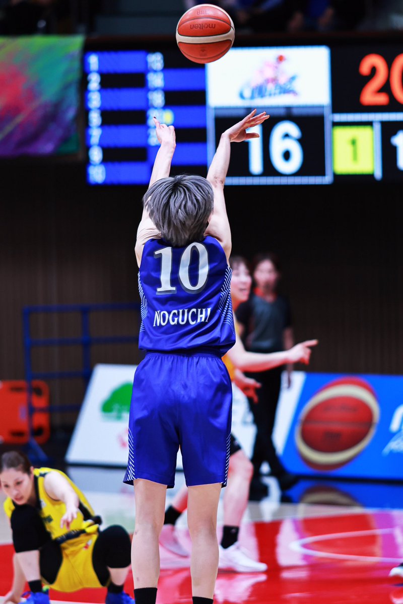 一匹猫 📸 tweet media