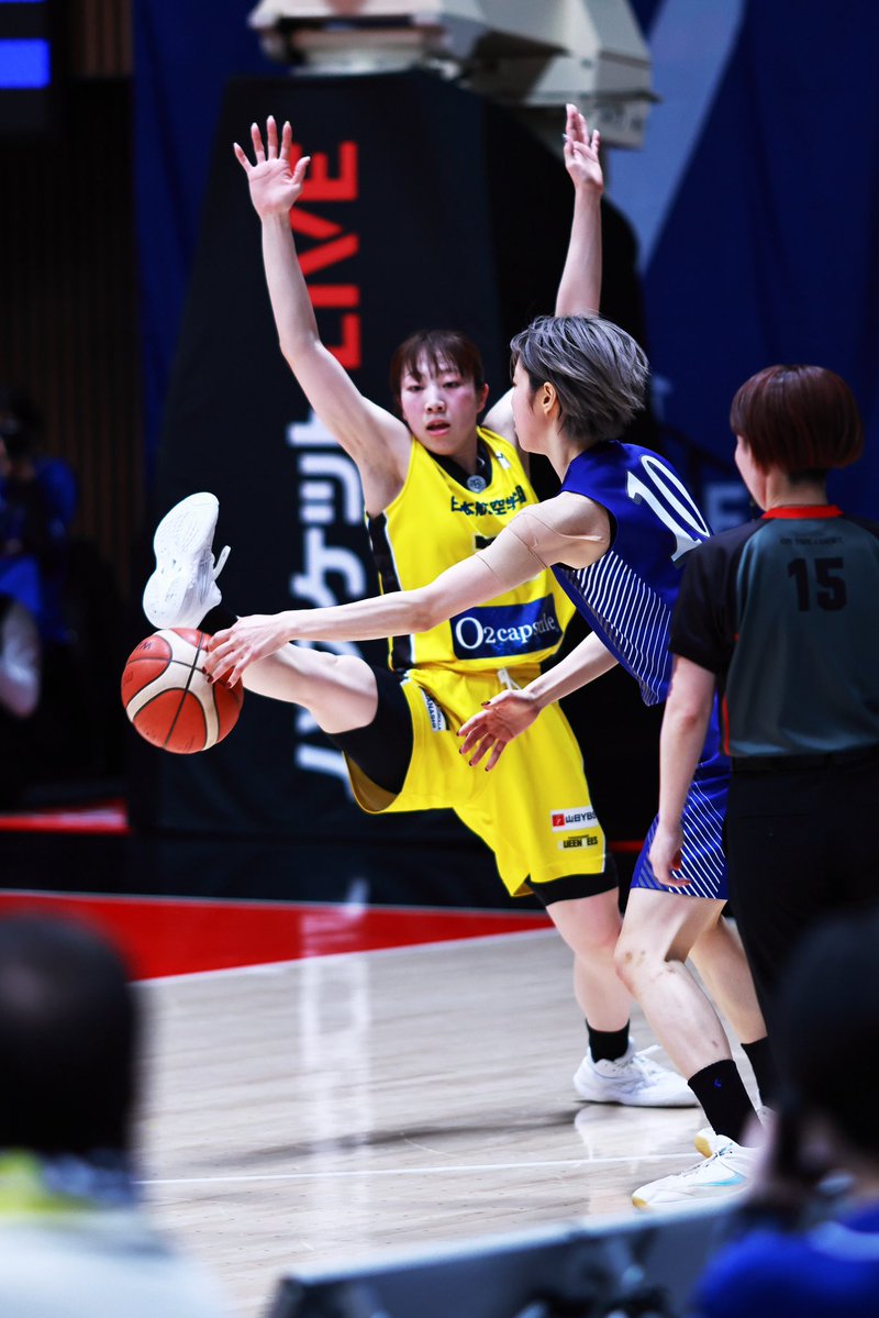 一匹猫 📸 tweet media