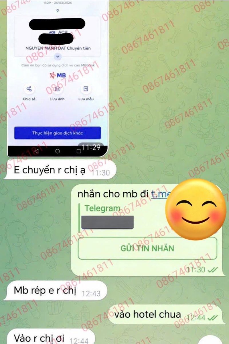 Thanh Mai tweet media