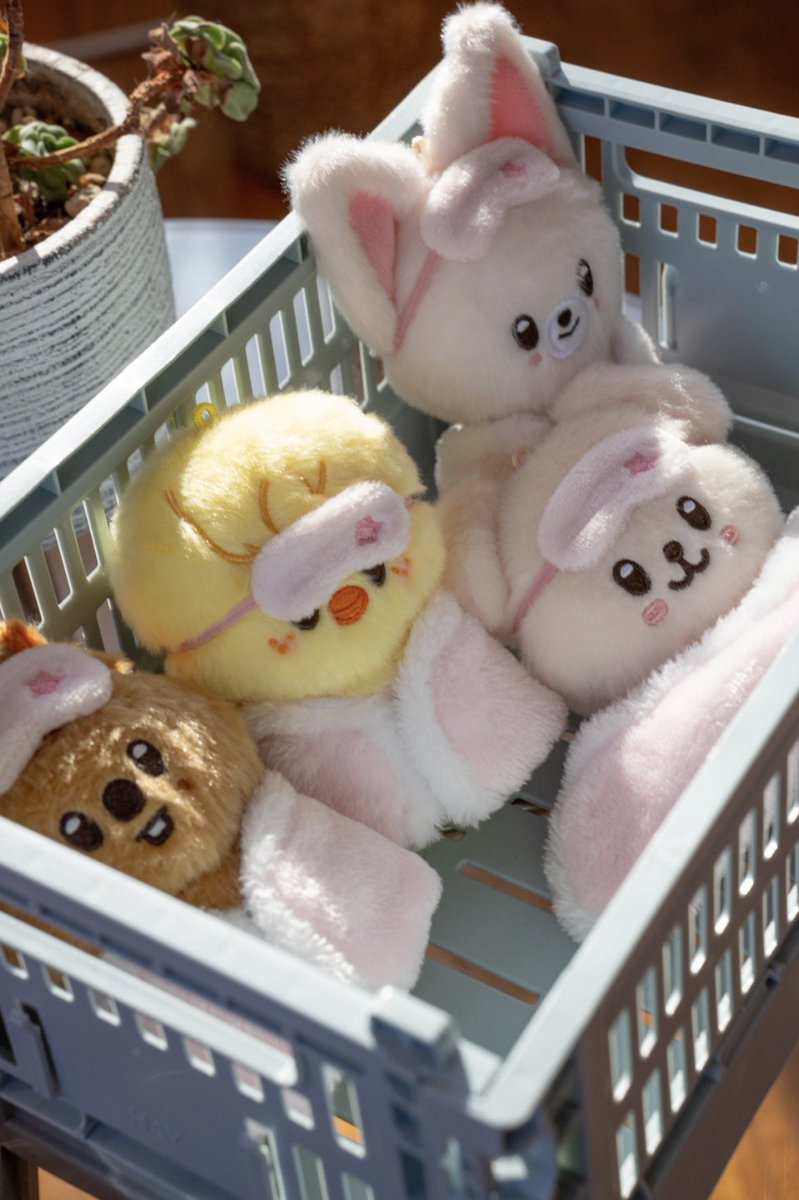 รับกด EARLY ACCESS ได้ของไว
Stray Kids 6TH FANMEETING
.・✭ 𝗦𝗧𝗔𝗬 𝗶𝗻 𝗢𝘂𝗿 𝗟𝗶𝘁𝘁𝗹𝗲 𝗛𝗼𝘂𝘀𝗲 ✭・.
🏠 รอบ online

SKZOO PLUSH 10CM Ver.
ตุวละ 470 ฿ ส่งแอร์ ได้ของต้น-กลางเม.ย.

ของหมด Dwaekki / PuppyM
เมมอื่นยังกดได้คับ

📮40

#ตลาดนัดเด็กหลง #ตลาดนัดStrayKids