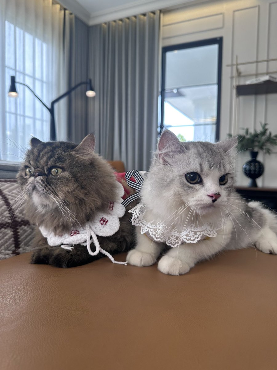 skyandstar⭐️ตอบแค่คนซัพและลูกค้า! tweet media