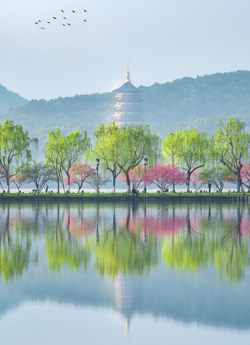 杜啦啦🇨🇳（互关互粉互fo） tweet media