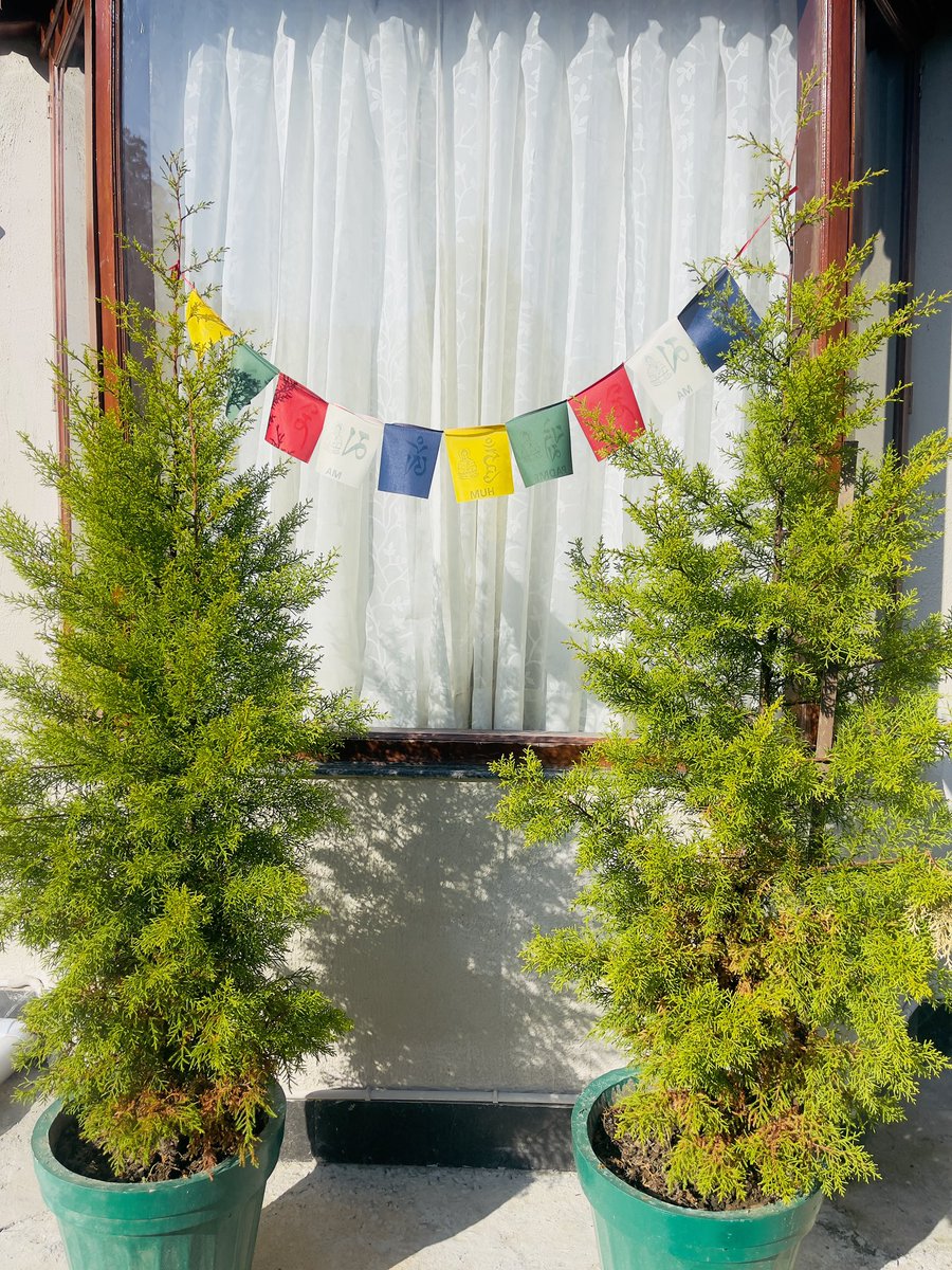 Alka Joshi Kaushik tweet media