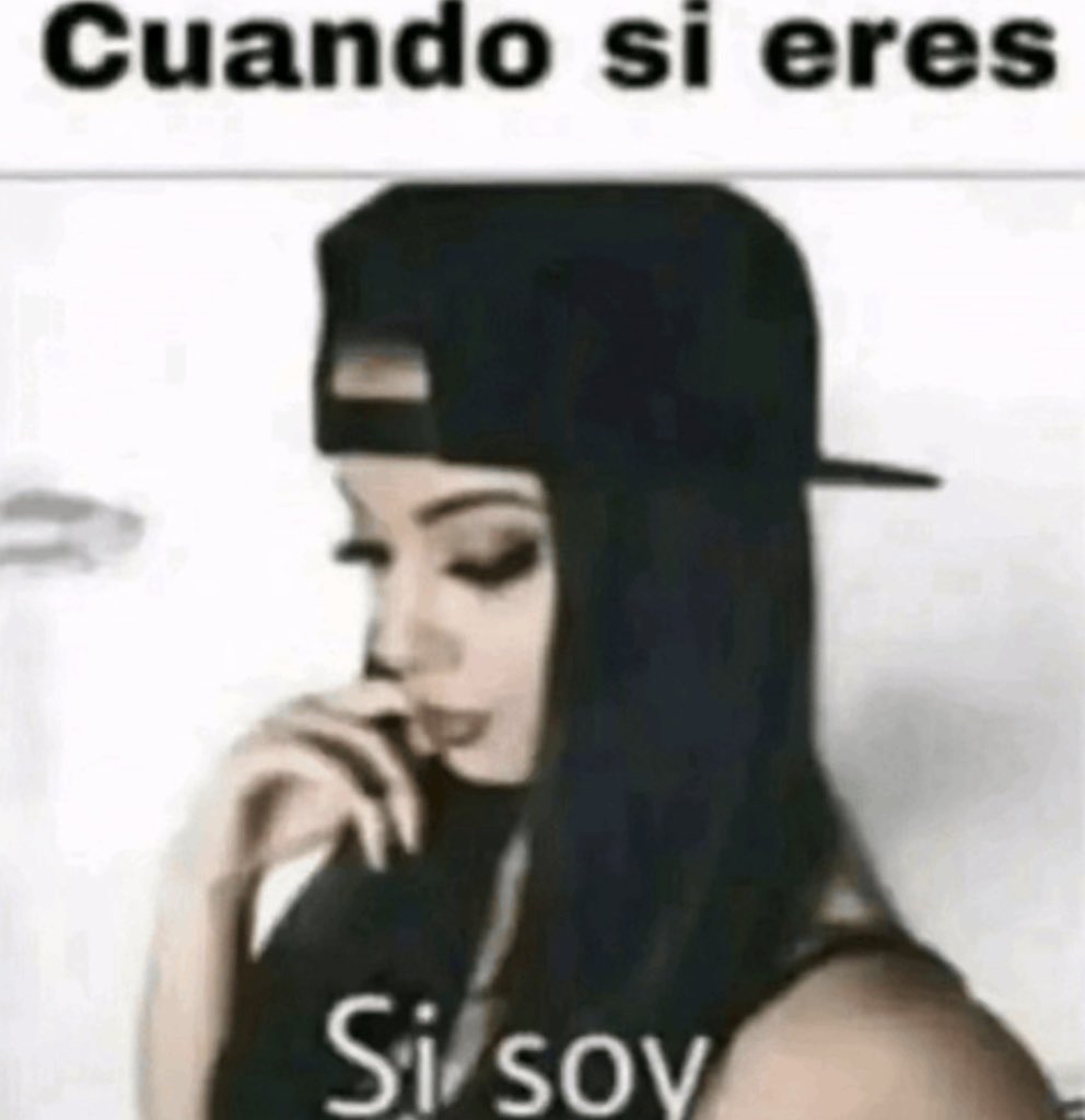 ⋆.𐙚 ariela tweet media