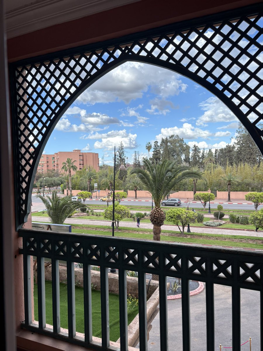 ditissemtex030 tweet media