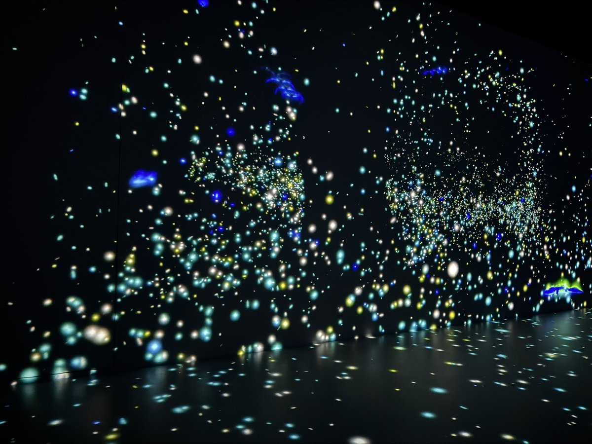 かめるこ🪐𖥔 ࣪ καρίνα代表 tweet media