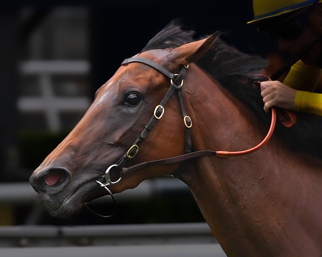 Bjorn Baker Racing tweet media