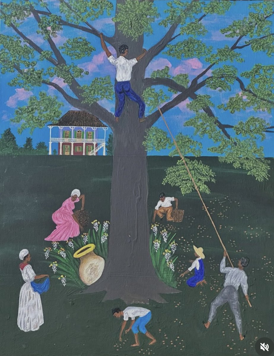 Phillip Stassi tweet media