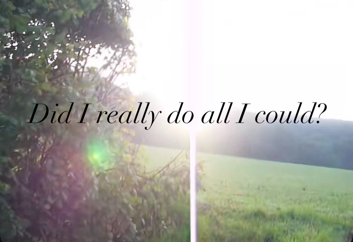 promise 🪽 tweet media