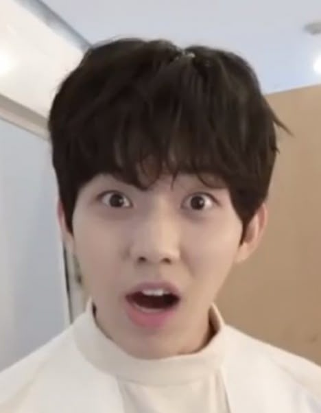 필폭스❤️‍🩹🏥 tweet media