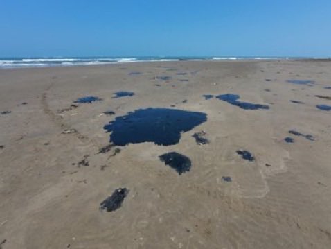 Leticia Martinez tweet media