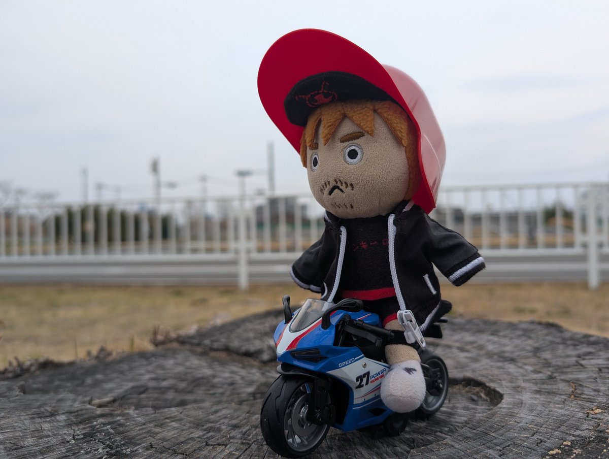 🌸さ く ら ( ぴょん )🌸 tweet media