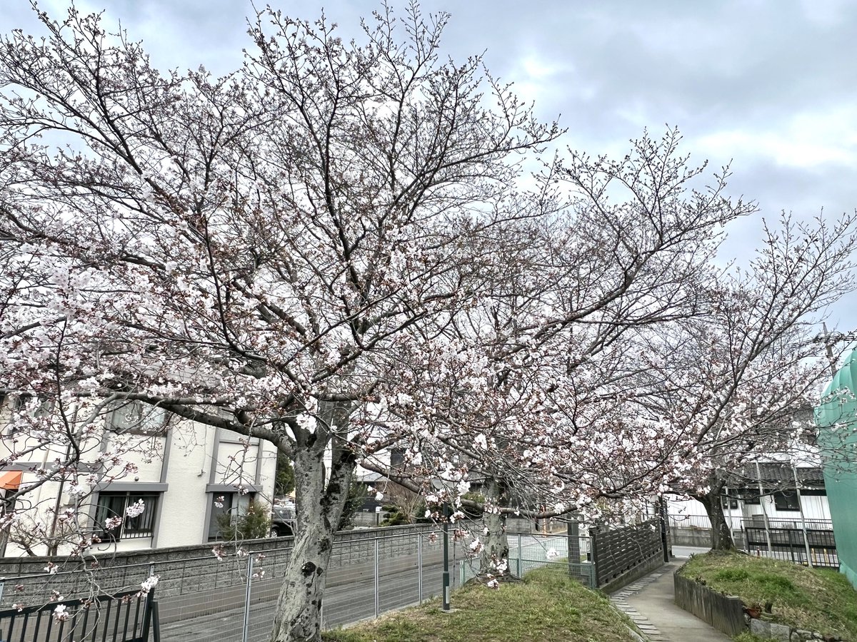 東京スプリング工業株式会社 tweet media