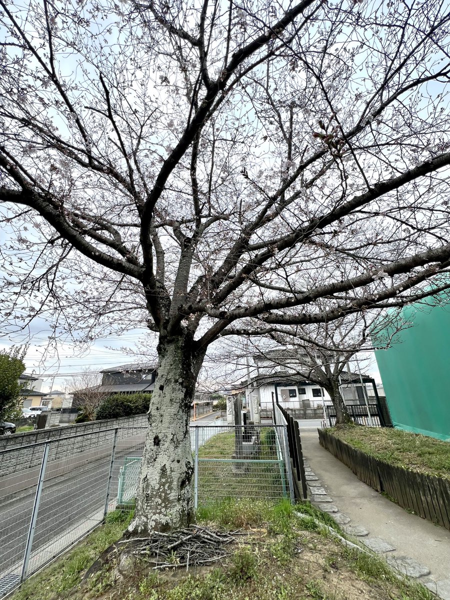 東京スプリング工業株式会社 tweet media