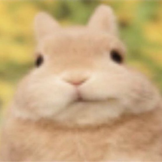 LUZ 🐰☀️ tweet media