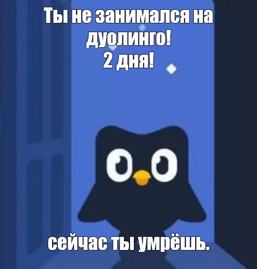 Что-то странное 😱🫣🤬 tweet media